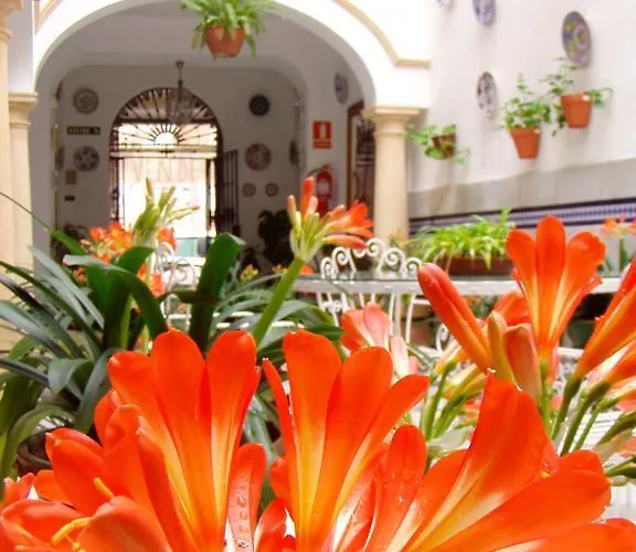 Pensionat Maestre Córdoba